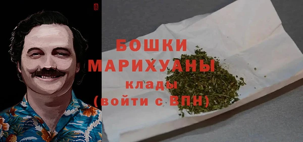 гидропоника Новозыбков