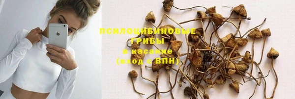 шишки Новокубанск