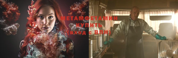 прущие грибы Няндома