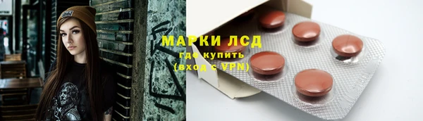эйфоретик Гатчина