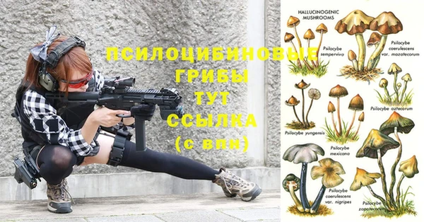 гидропоника Новозыбков