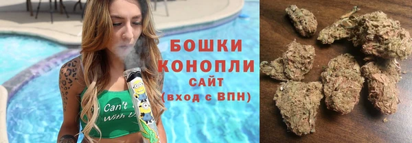 метадон Новодвинск
