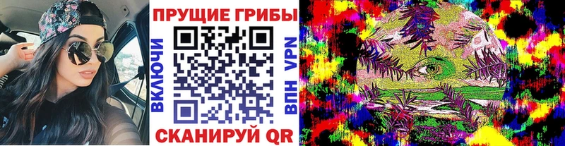 где продают   Оханск  Псилоцибиновые грибы мицелий 